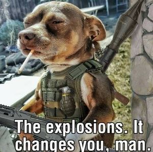 Meet your Posher, Heriberto